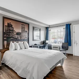 Hotel Executive 